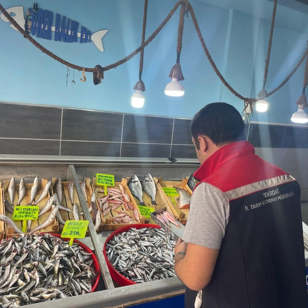 Tekirdağ’da su ürünleri denetimi
