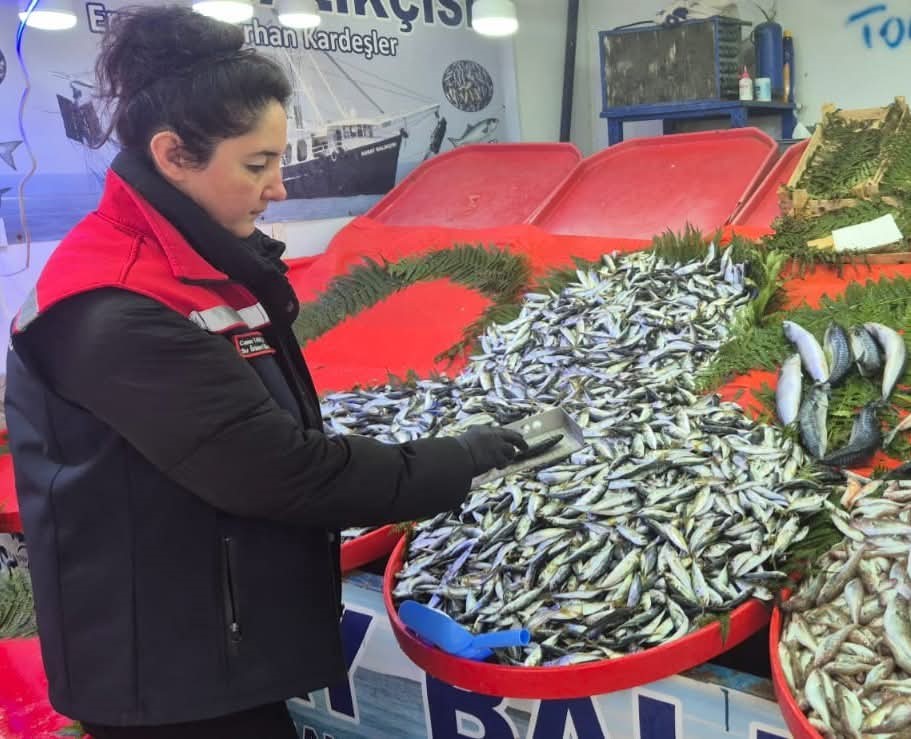 Tekirdağ’da su ürünlerine sıkı denetim
Tekirdağ’da su ürünlerine sıkı denetim