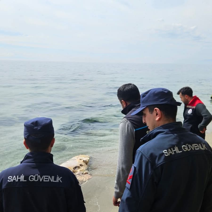 Tekirdağ’da yunus ölüsü bulundu
