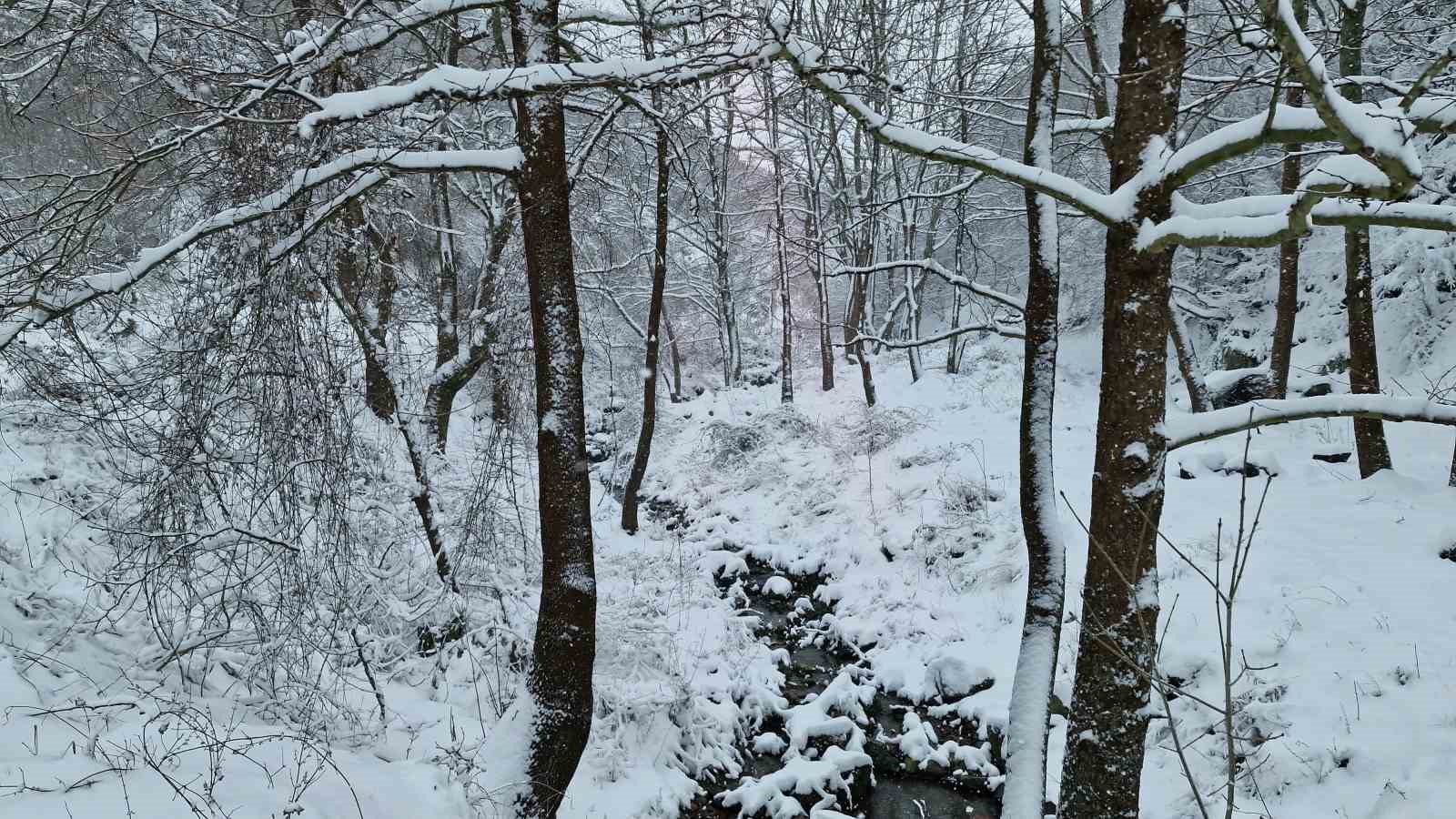 Tekirdağ’ın yüksek kesimleri yağan karla beyaza büründü
