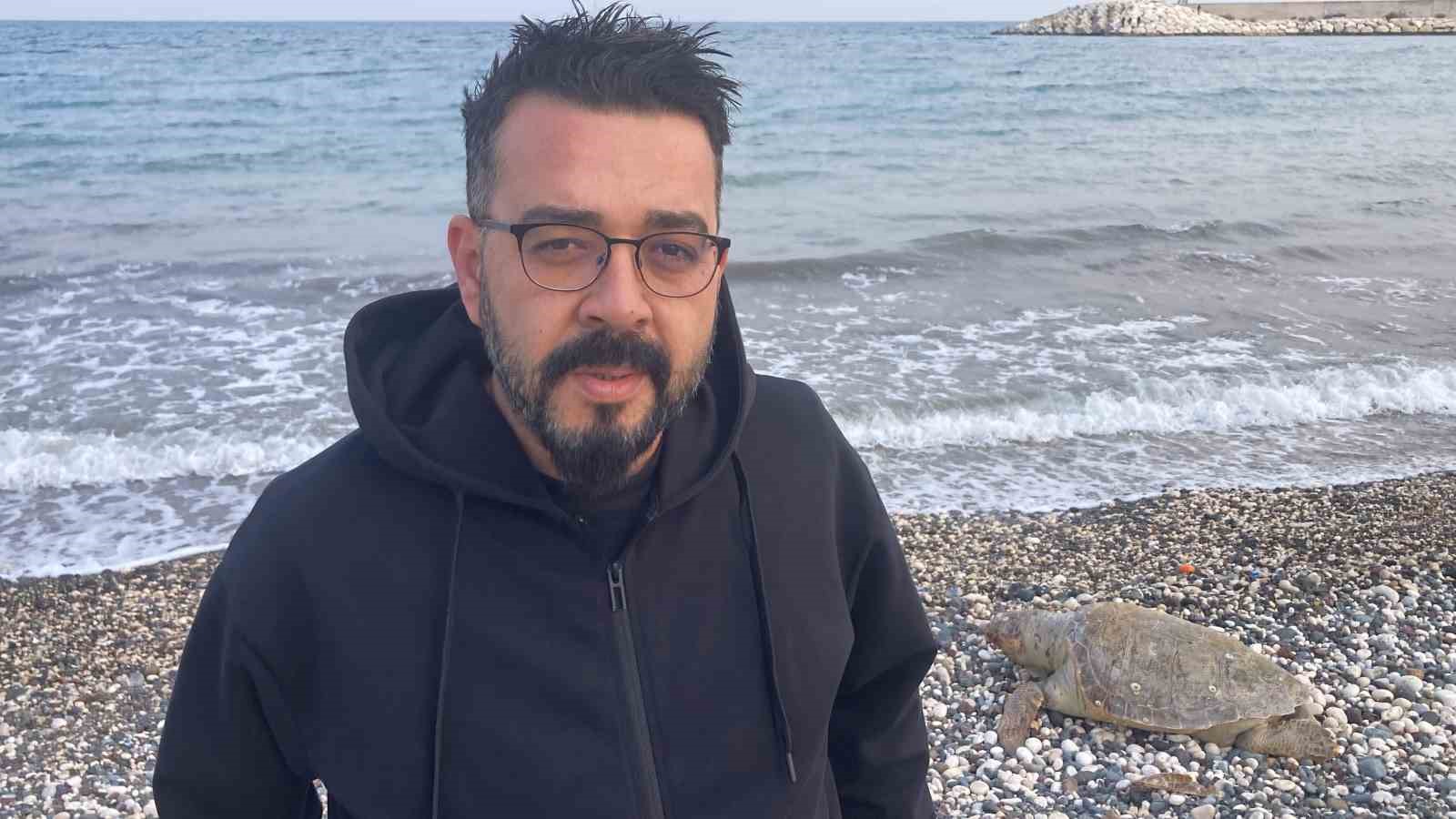 Telef olan caretta caretta halk plajına vurdu
