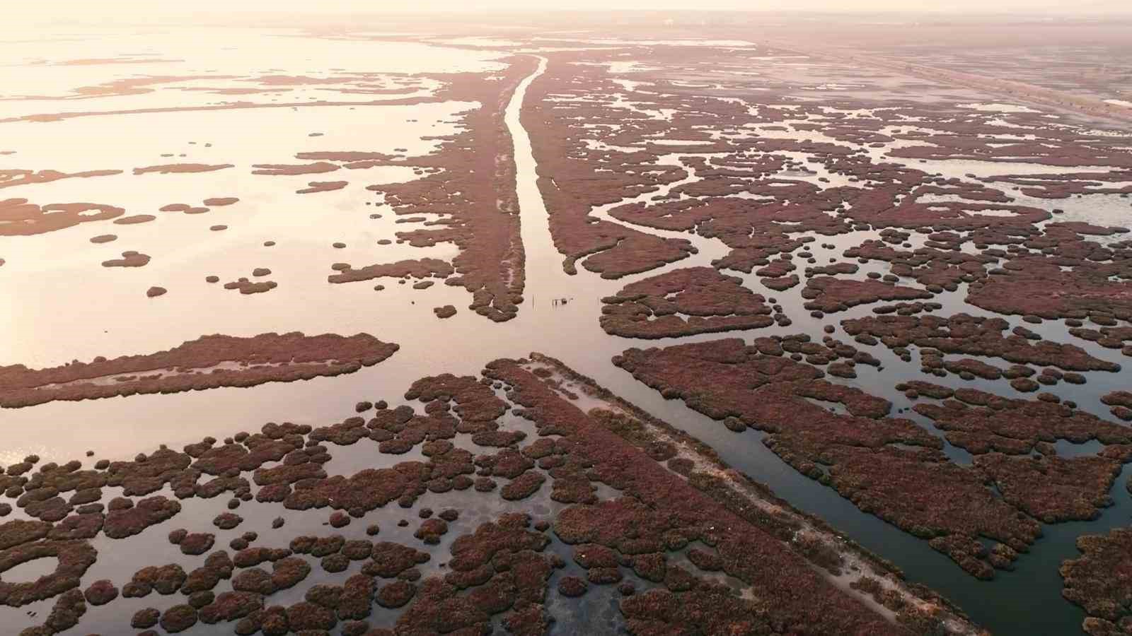 Temiz körfez için Gediz vurgusu
