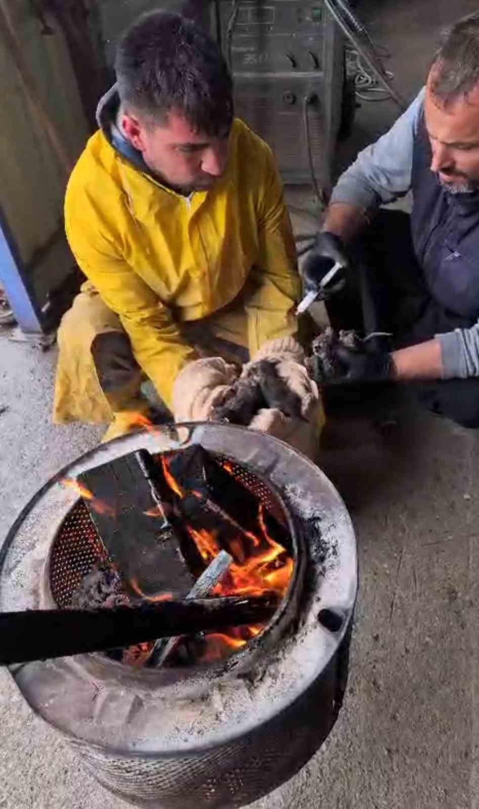 Temizlik işçilerinin dikkati, yavru kedileri ölümden kurtardı
