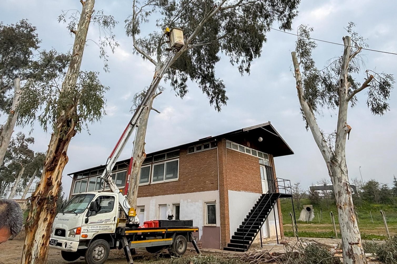 Tepecik Mesire Alanı yenileniyor
