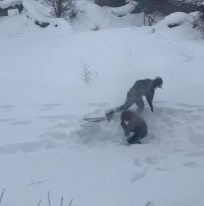 Tepsiyle kayarken havaya attı, kardeşinin başına isabet etti
