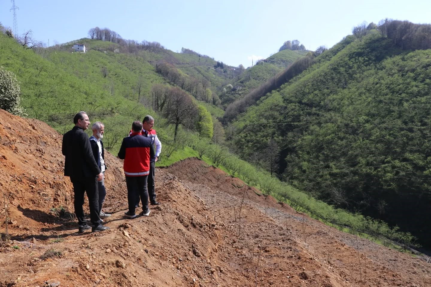 Teraslı fındık bahçeleri verimi artırdı, üretici memnuniyeti yükseldi
