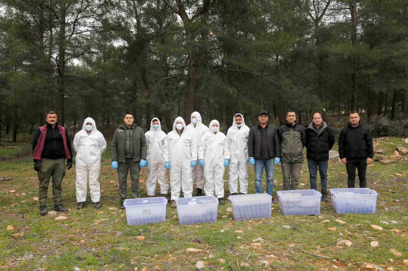 Terminatör böcekler iş başında
