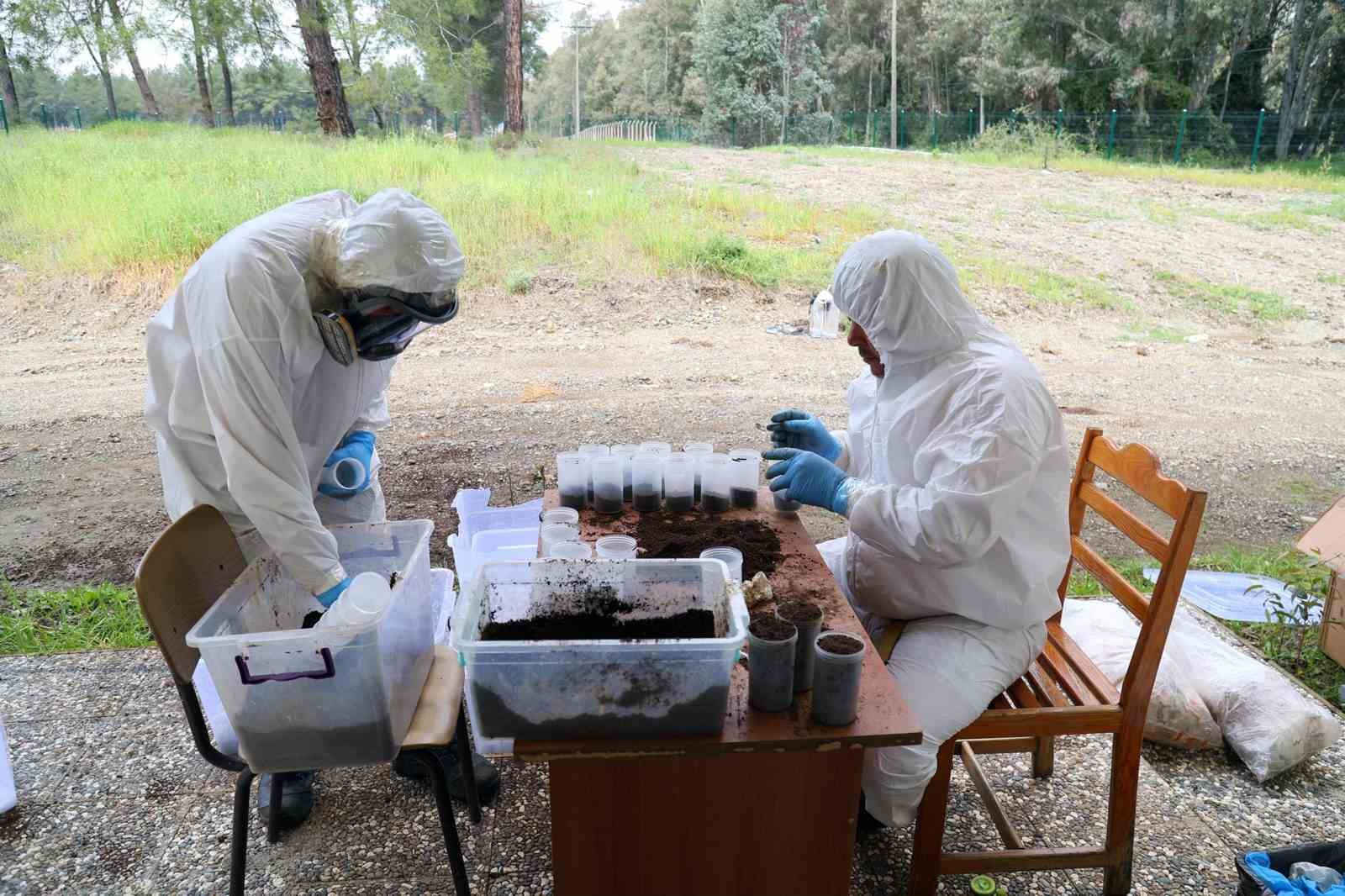 Terminatör böcekler iş başında
