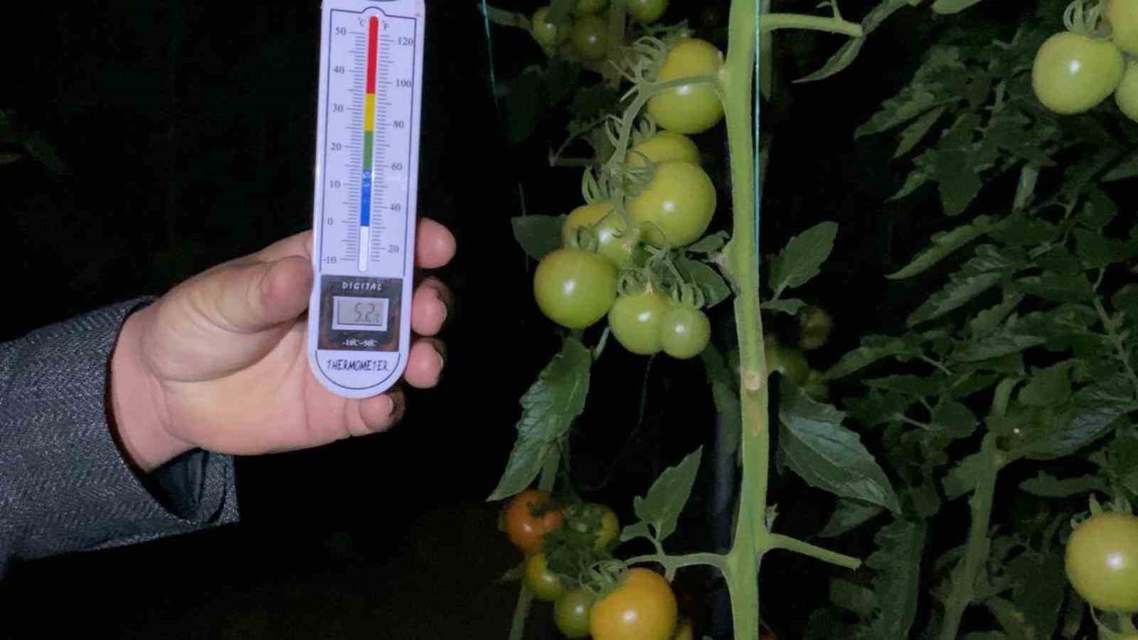 Termometreler eksiyi gördü, zirai don nöbeti başladı
