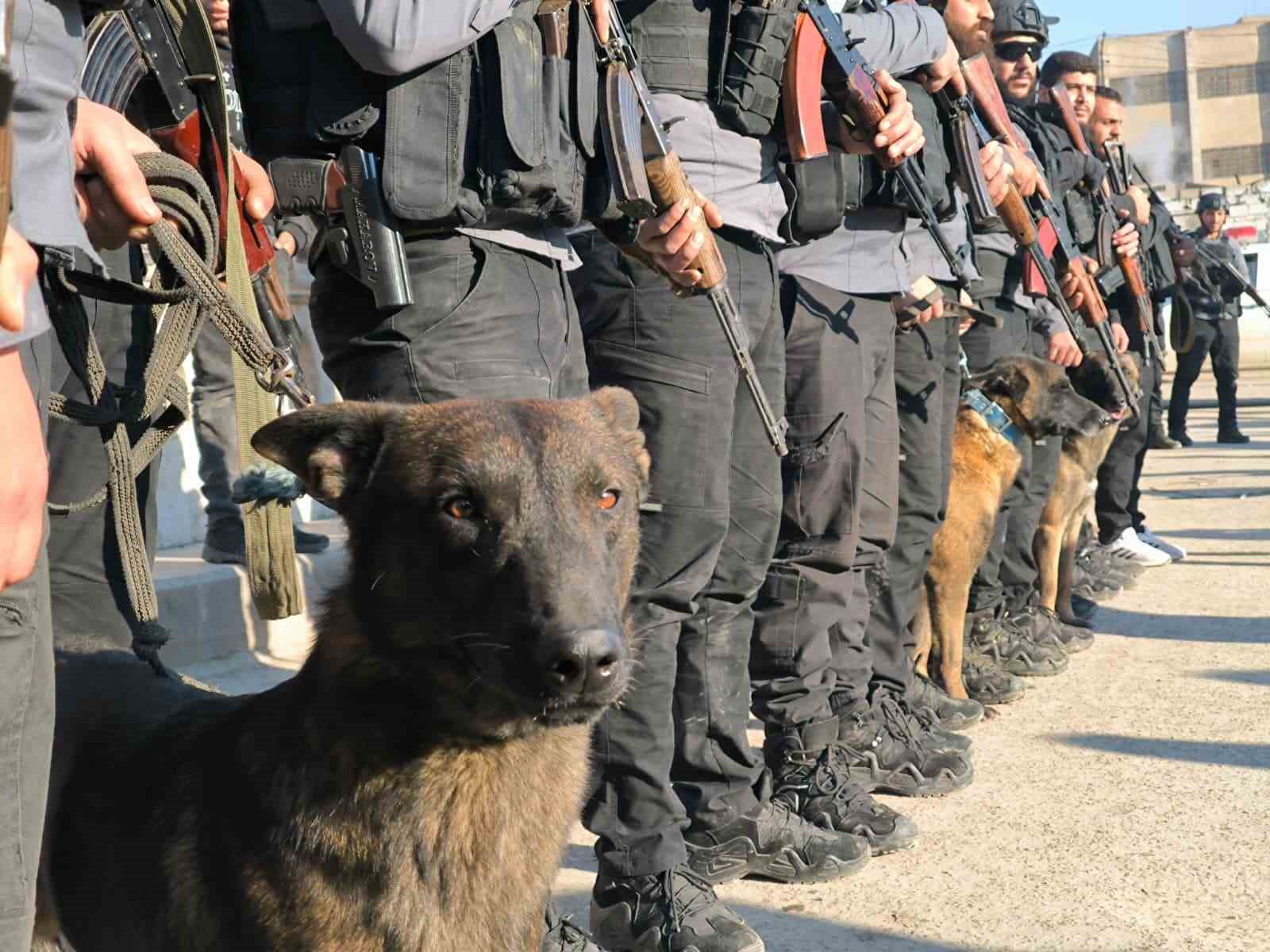 Terörden temizlenen Rakka’da özel eğitimli köpeklerle bomba arama çalışmaları
