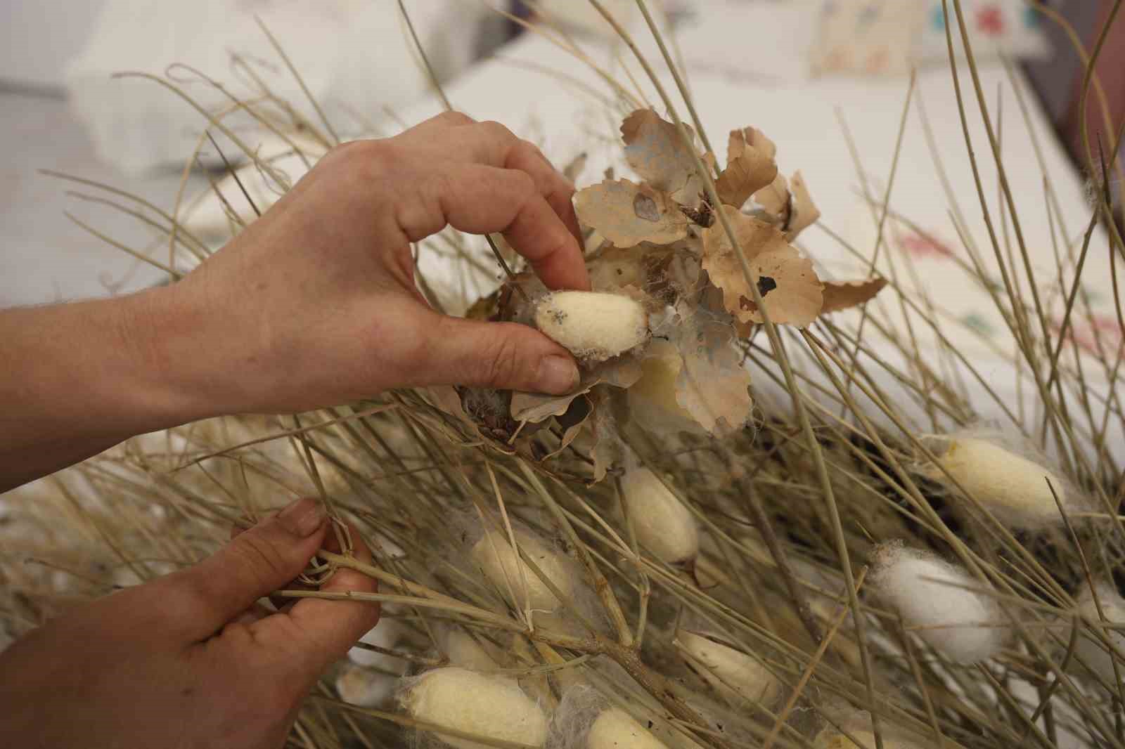 Tescilli ’Hatay Sarısı’nı yaşatmak için ömrünü adayan kadına "Yaşayan İnsan Hazinesi" ödülü
