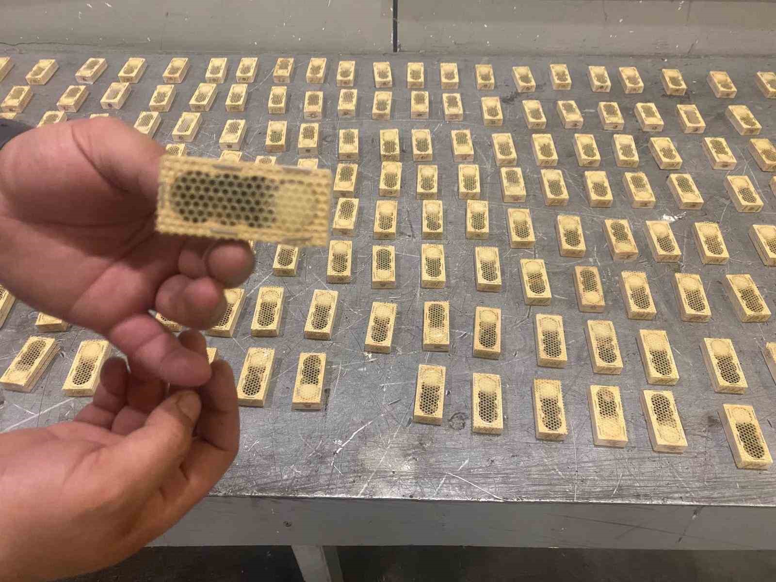 Ticaret Bakanlığı, 2025 yılında da kaçak canlı hayvan ticaretine geçit vermedi
Ticaret Bakanlığı, 2025 yılında da kaçak canlı hayvan ticaretine geçit vermedi