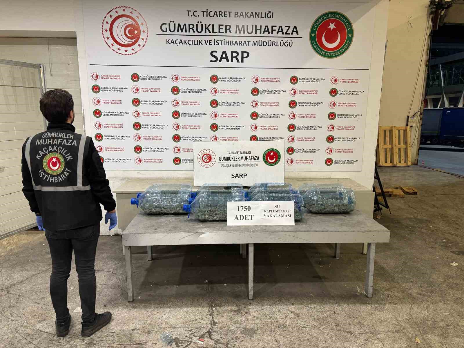 Ticaret Bakanlığı, 2025 yılında da kaçak canlı hayvan ticaretine geçit vermedi
Ticaret Bakanlığı, 2025 yılında da kaçak canlı hayvan ticaretine geçit vermedi