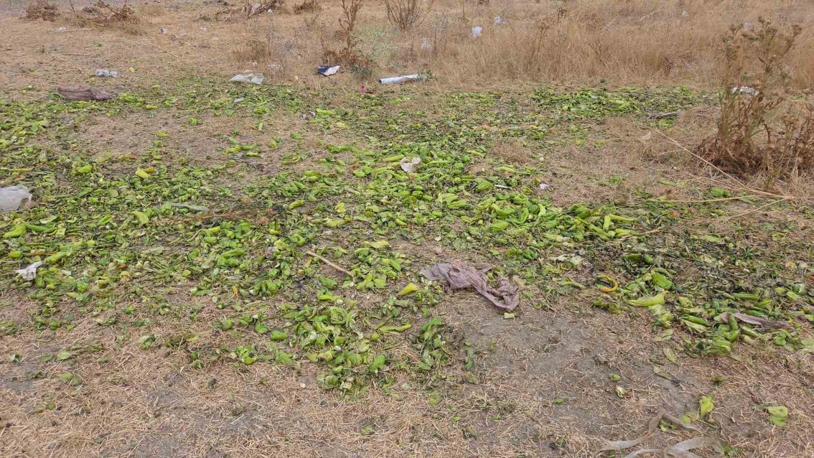 Ticaret Bakanlığı’ndan biber görüntülerine yalanlama
