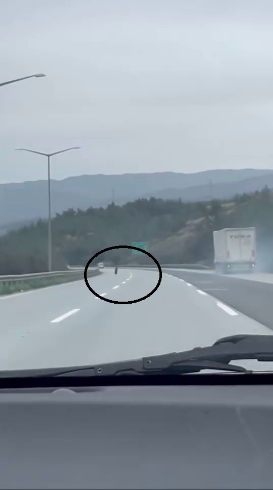 Tırdan fırlayan lastik otobanda yüzlerce metre ilerledi
