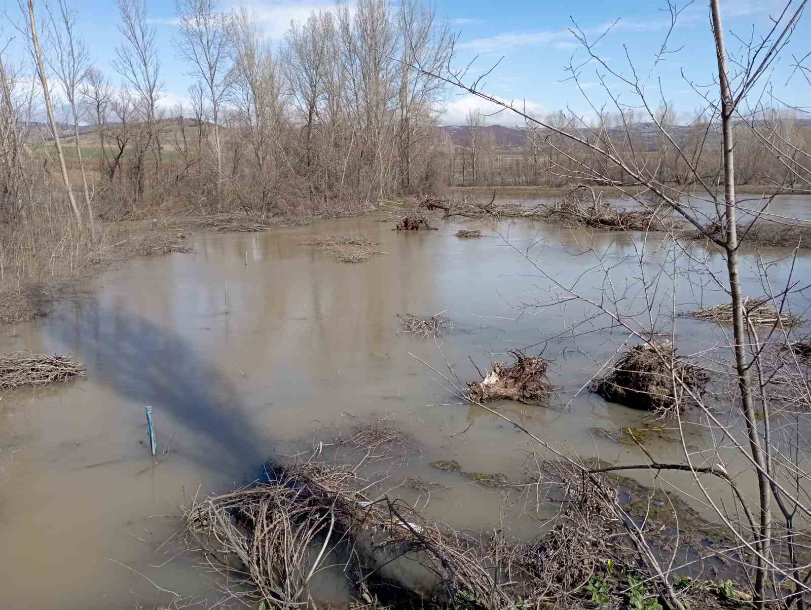Tokat’ta Çekerek Irmağı taştı, şeker pancarı ekimi durdu
