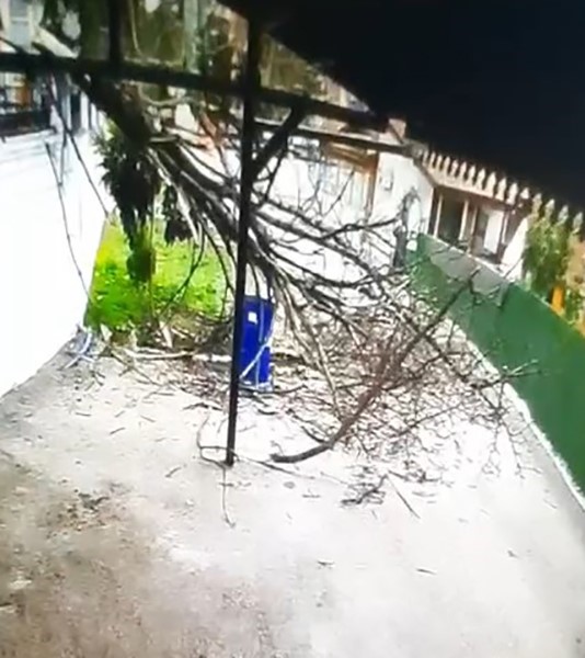 Tokat’ta fırtınanın devirdiği ağacın altında kalmaktan son anda kurtuldu
