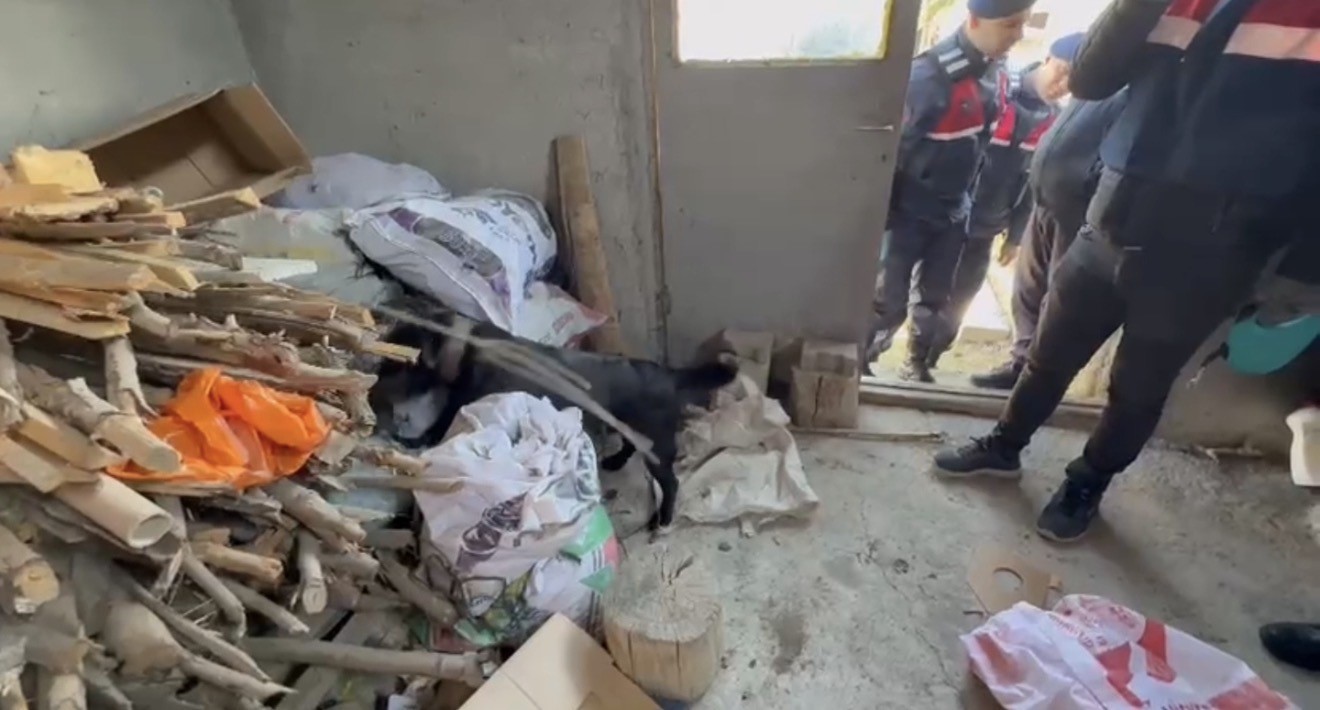 Tokat’ta jandarmadan uyuşturucu operasyonu: 8 gözaltı
