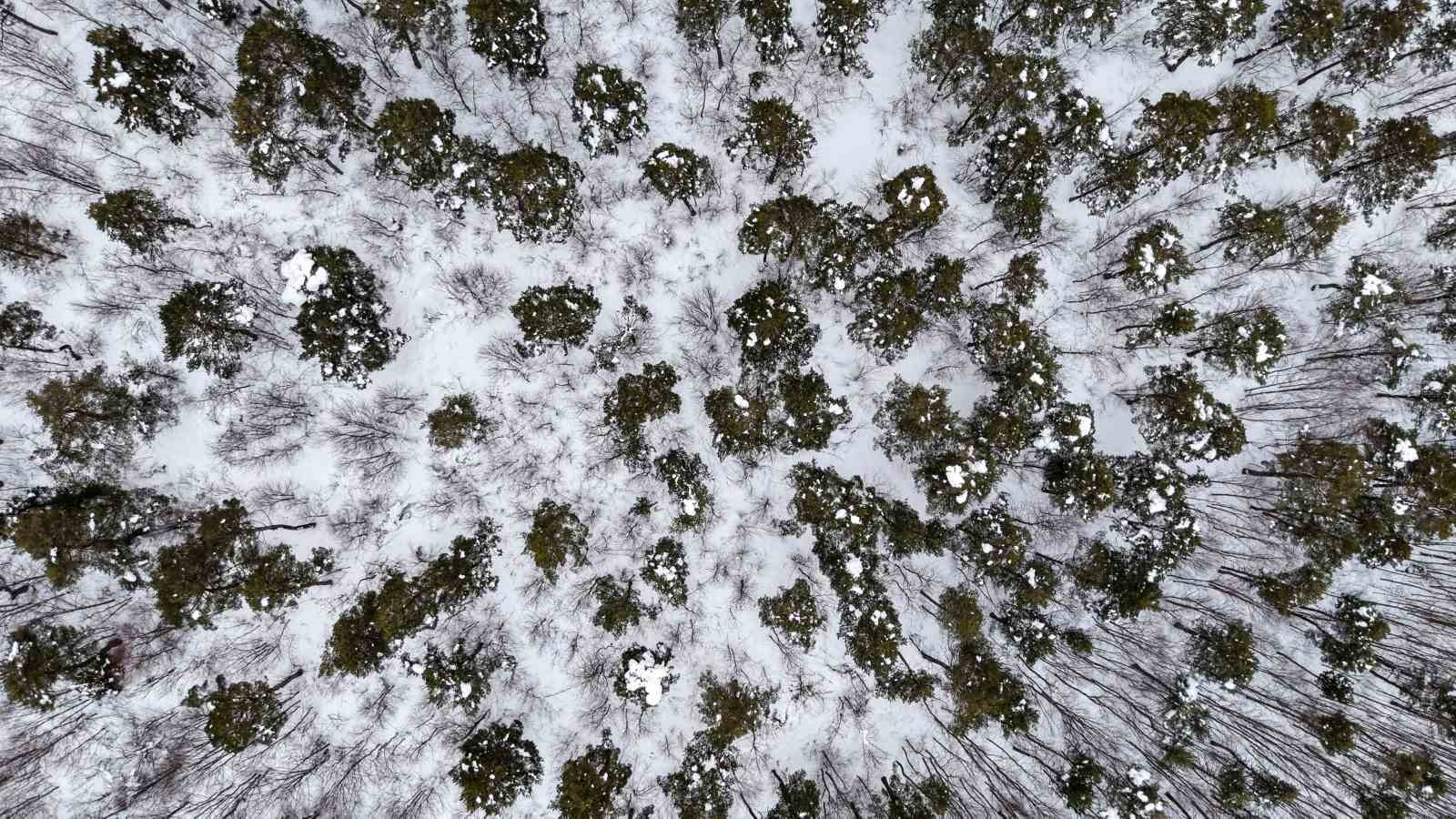 Tokat’taki Kurt Gölü’nün kış manzarası mest etti
