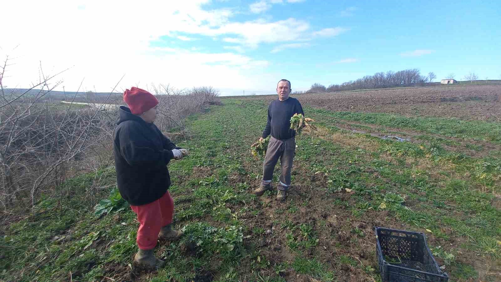 Toprağa emek, çocuklara gelecek: Karı-koca dört mevsim tarlada çalışıyor
