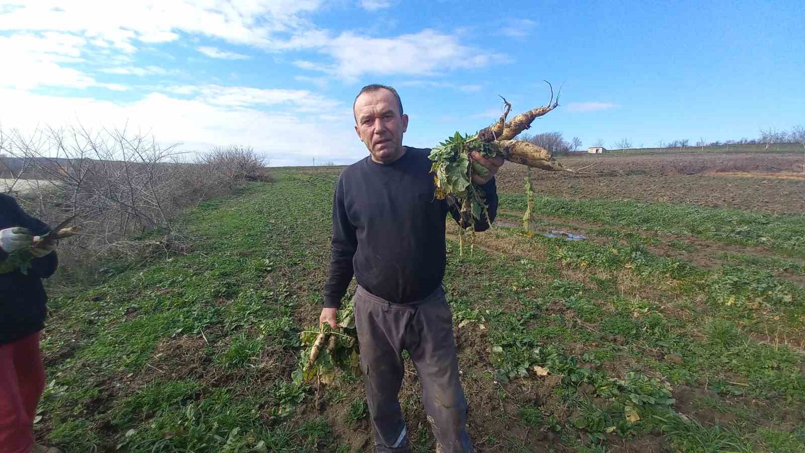 Toprağa emek, çocuklara gelecek: Karı-koca dört mevsim tarlada çalışıyor
