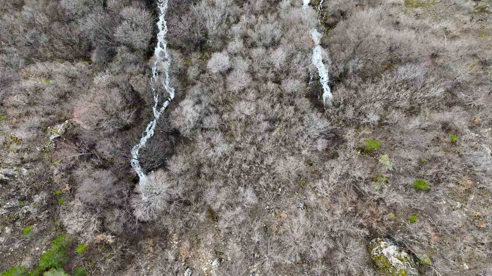 Torul’un gizemli su kaynakları: Gülaçar köyünde mevsimsel doğa olayı
Torul’un gizemli su kaynakları: Gülaçar köyünde mevsimsel doğa olayı