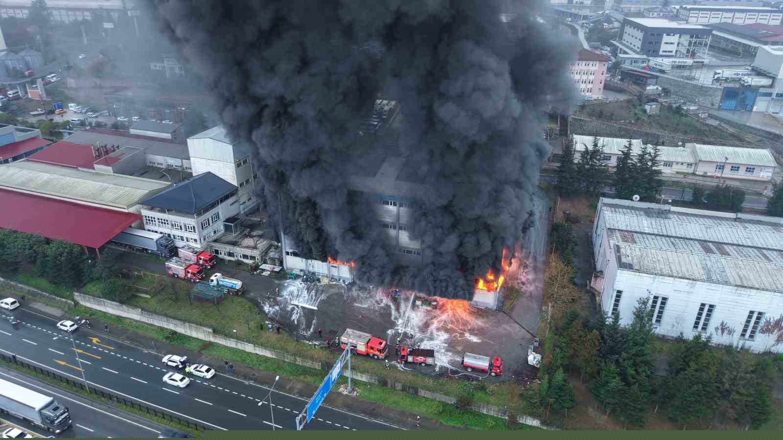 Trabzon’da fındık fabrikasında yangın
