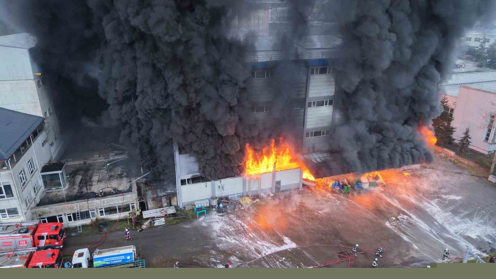 Trabzon’da fındık fabrikasında yangın
