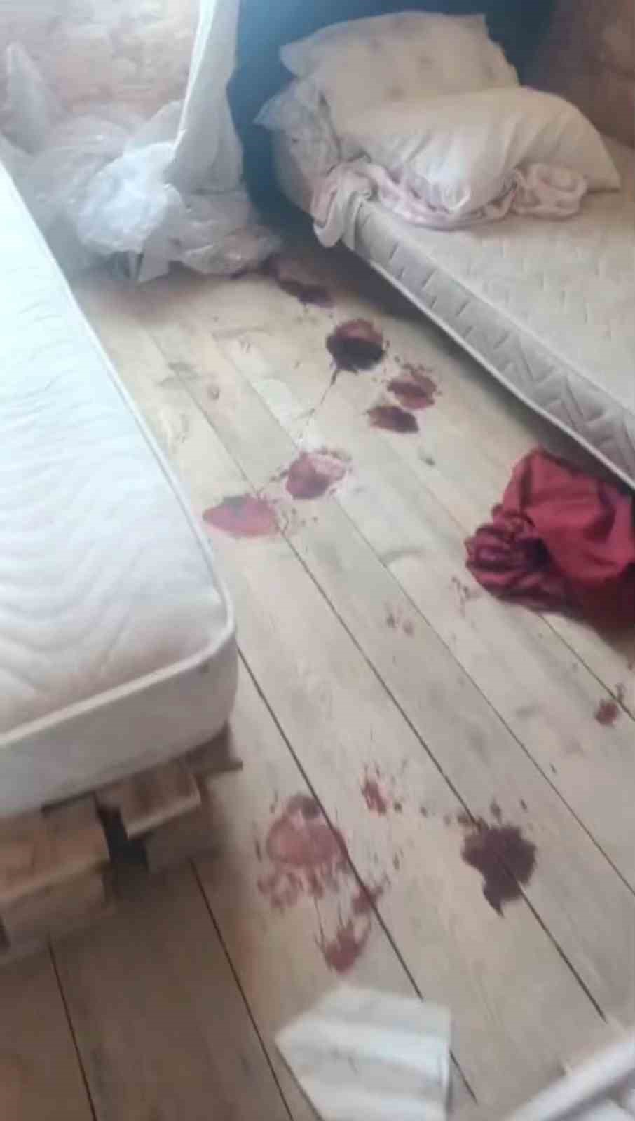 Trabzon’da yayla evine giren ayı ortalığı savaş alanına çevirmiş
