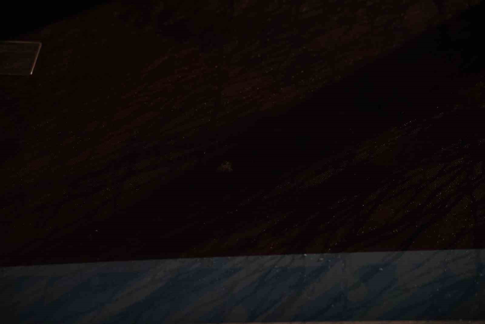 Trabzonspor: "Sporcularımızın ve teknik heyetimizin can güvenliği açık şekilde tehdit altındadır"
