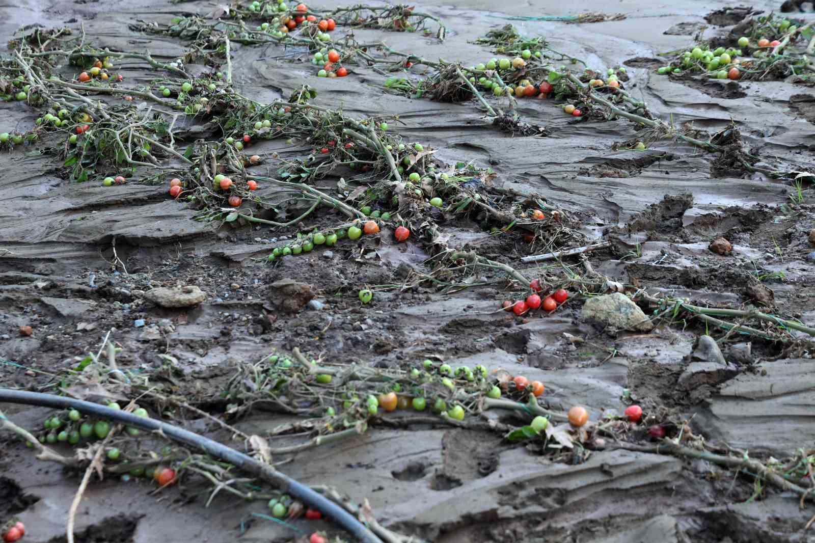 Tüm birikimlerini 1 saatte kaybettiler
