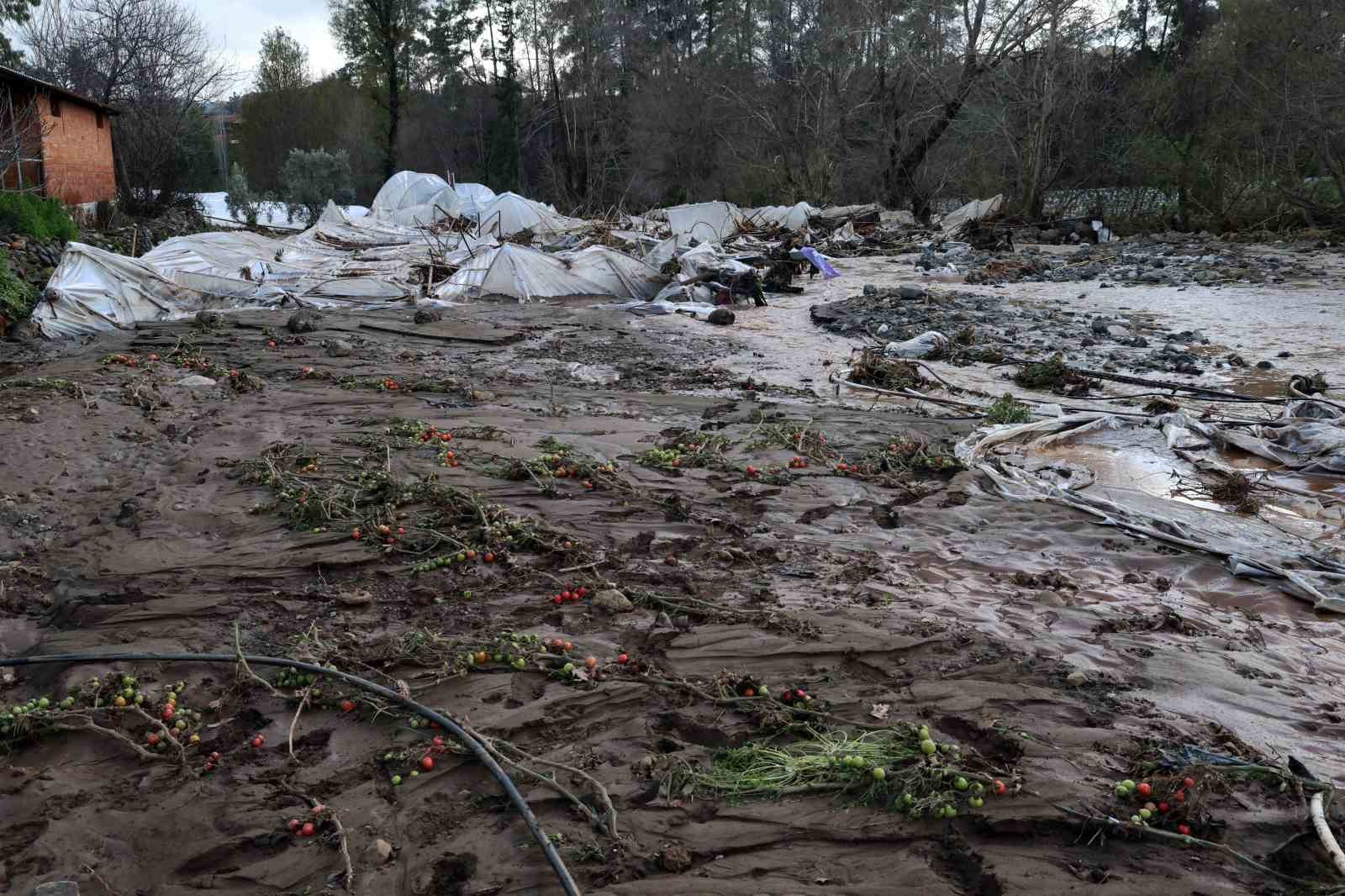 Tüm birikimlerini 1 saatte kaybettiler
