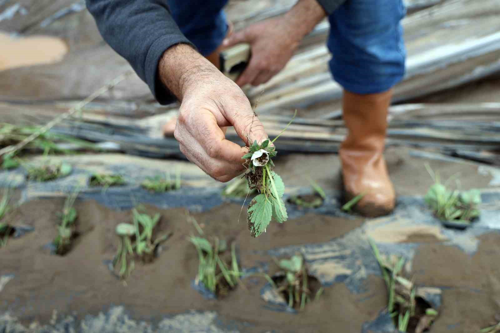 Tüm birikimlerini 1 saatte kaybettiler
