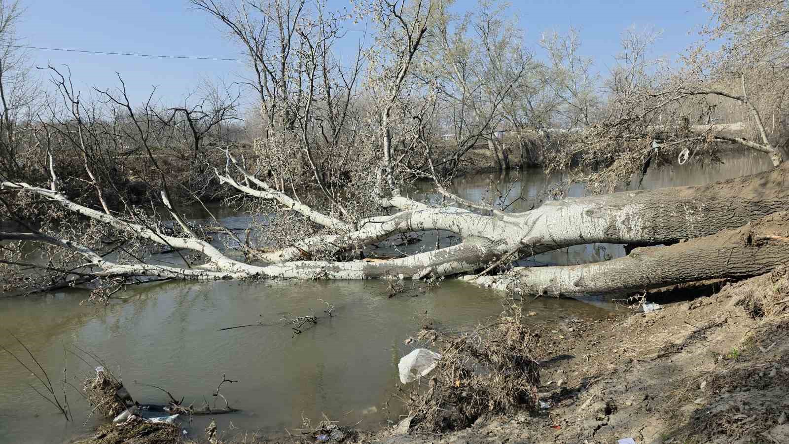 Tunca Nehri kıyısında toprak kayması: 9 yıl sonra gelen taşkınlar zemini etkiledi
