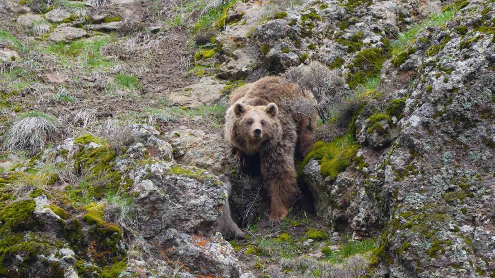 Tunceli’de belgeselleri aratmayan görüntüler
