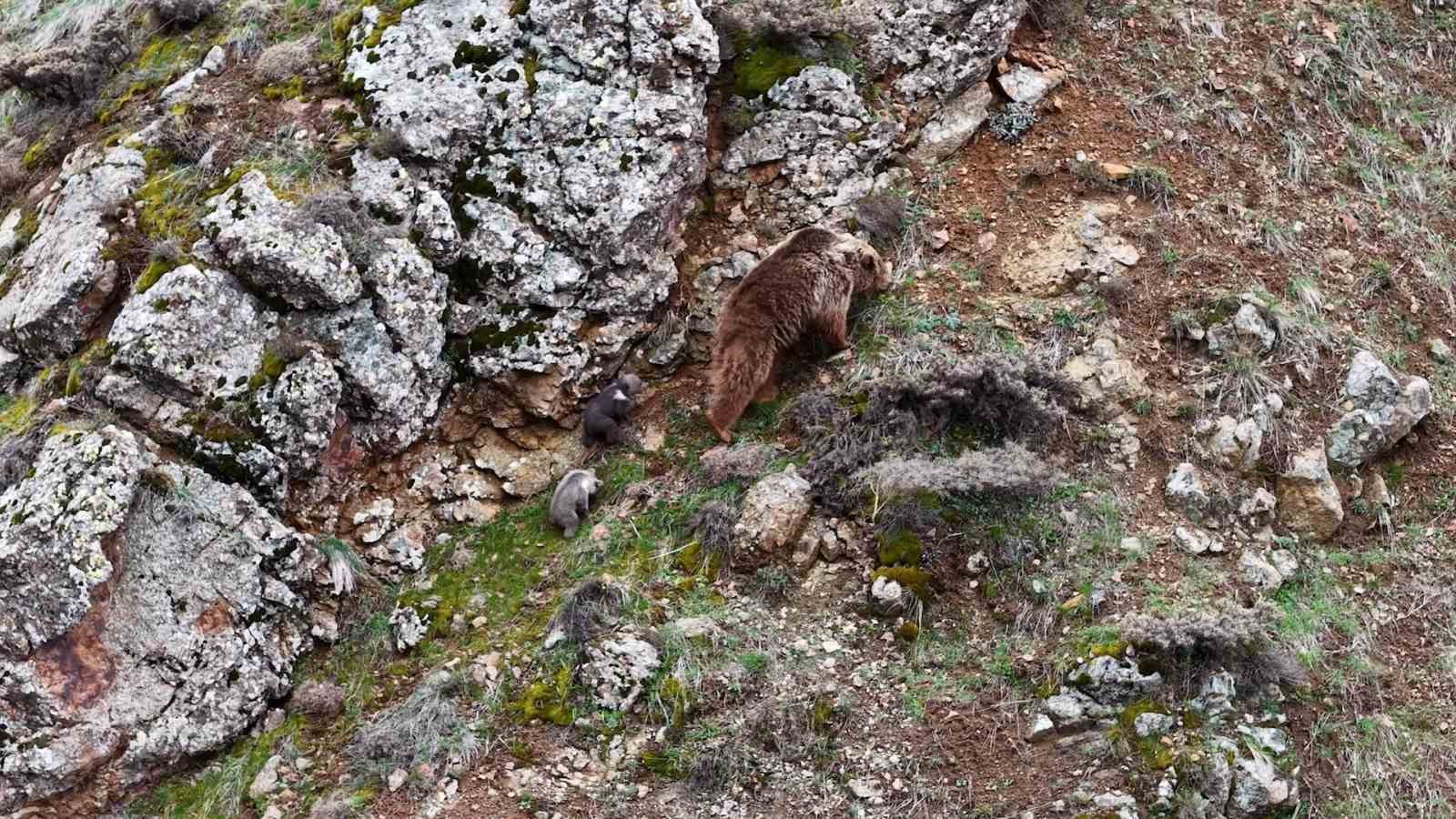 Tunceli’de belgeselleri aratmayan görüntüler
