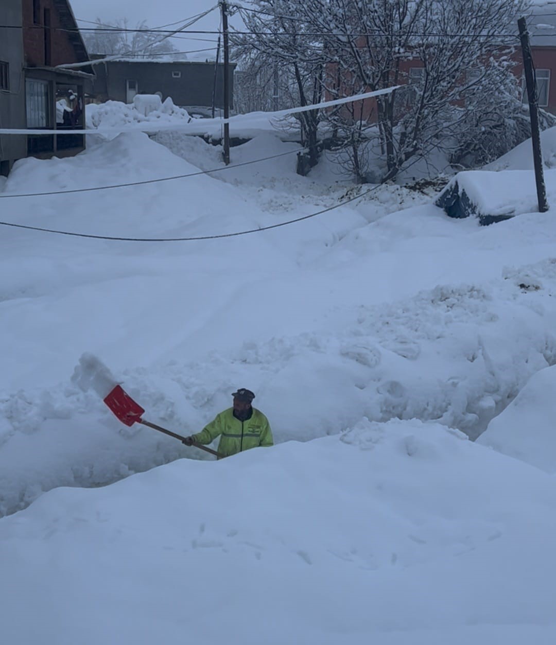 Tunceli’de kar kalınlığı 1,5 metreyi aştı: İnekler karda kayboldu
