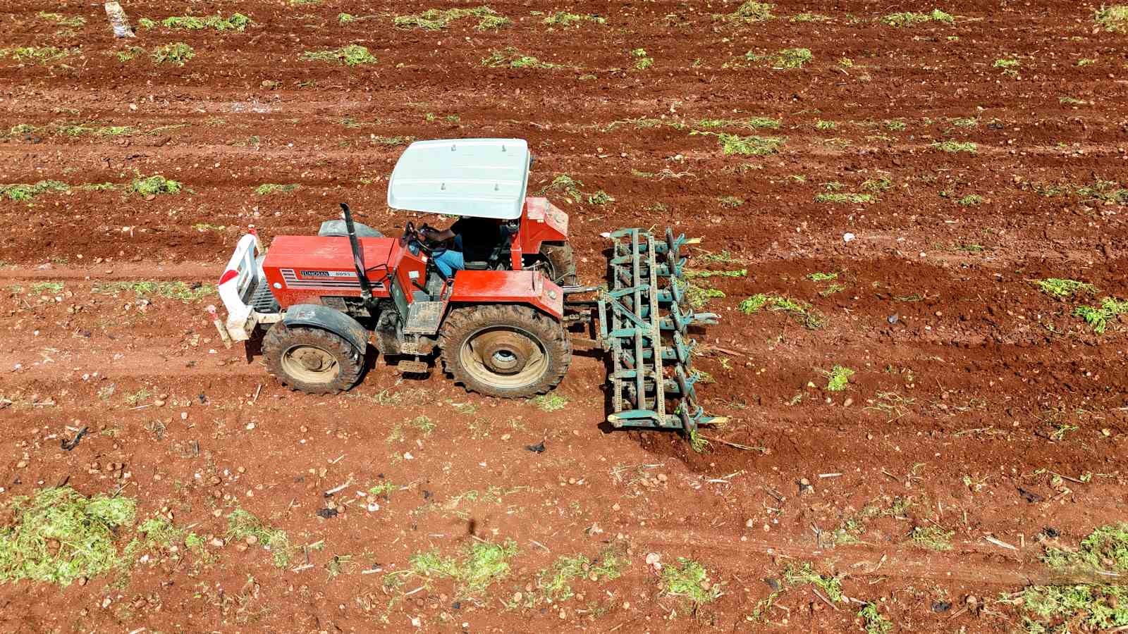 Turfanda patateste hasat başladı

