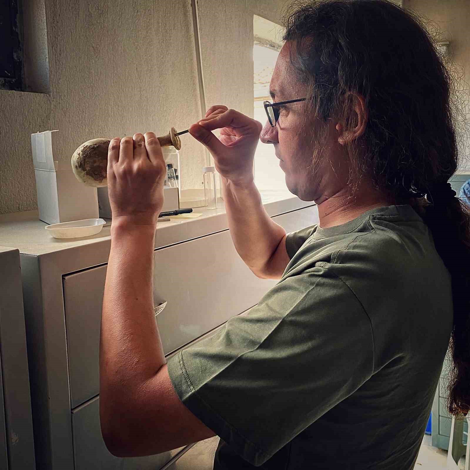 Türk bilim adamlarının çalışması Avrupa’da yankılandı
Türk bilim adamlarının çalışması Avrupa’da yankılandı