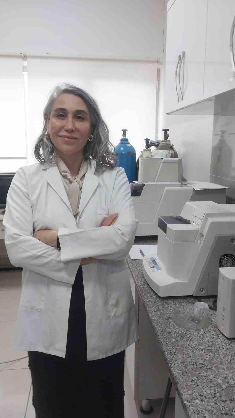 Türk profesörlerin yürüttüğü Sodyum-iyon batarya projesinde laboratuvar çalışmaları tamamlandı
