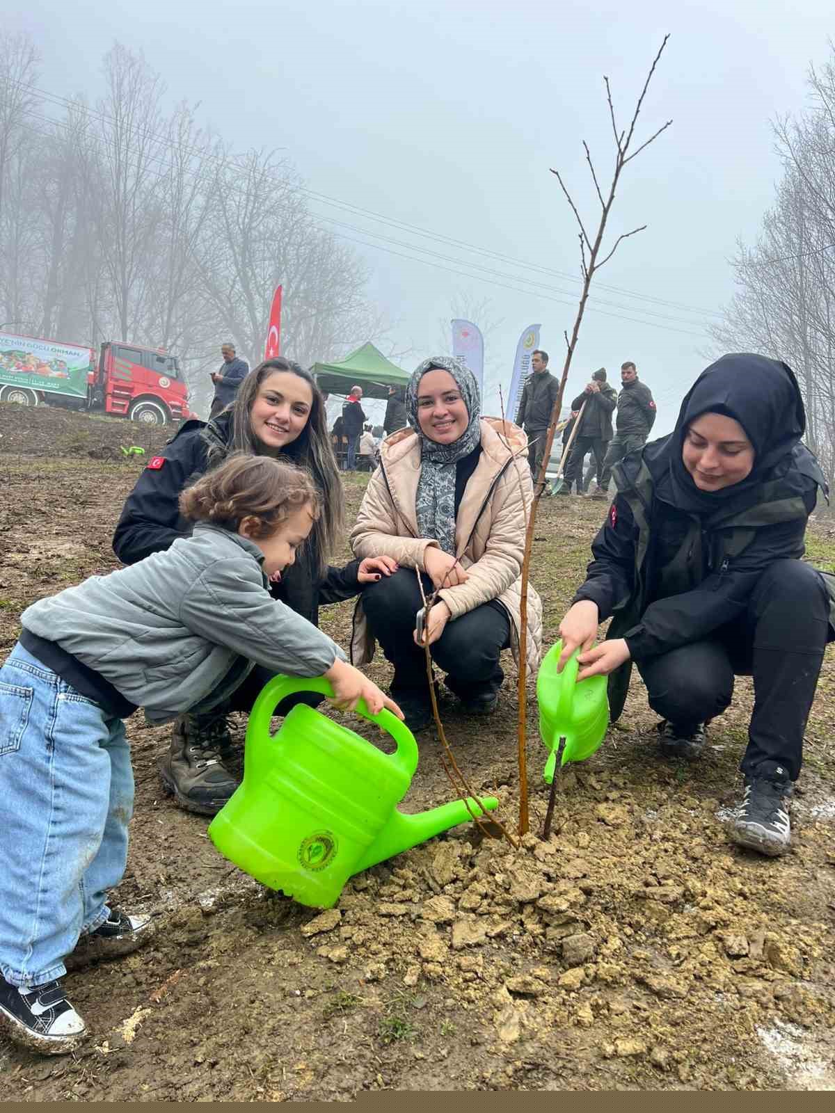 Türkeli’de yüzlerce fidan toprakla buluştu
