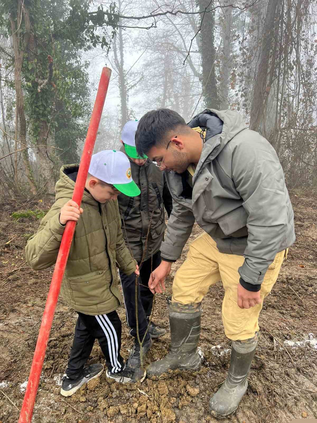 Türkeli’de yüzlerce fidan toprakla buluştu
