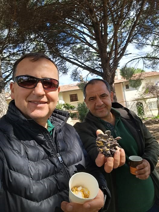 Türkiye çam balı üretiminde dünya birincisi
Türkiye çam balı üretiminde dünya birincisi