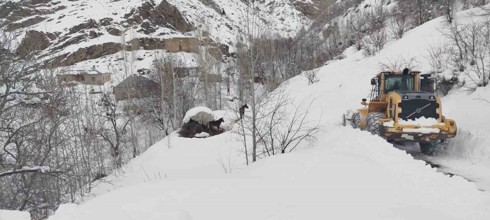 Türkiye-İran sınırında terk edilen 2 at kurtarıldı
