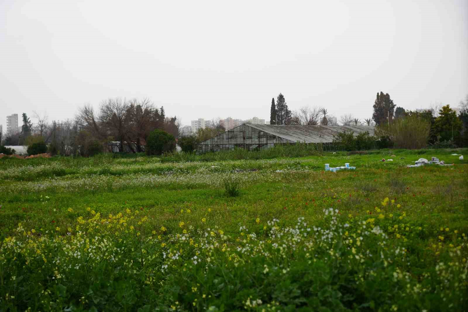 Türkiye son 20 yılda, Antalya’dan büyük tarım alanını kaybetti
Türkiye son 20 yılda, Antalya’dan büyük tarım alanını kaybetti