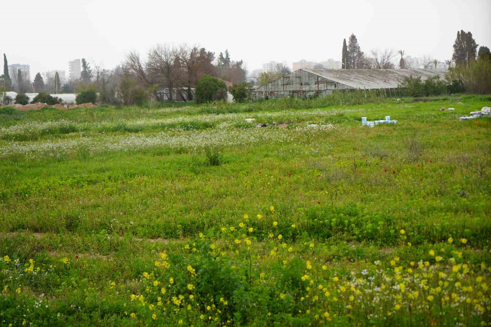 Türkiye son 20 yılda, Antalya’dan büyük tarım alanını kaybetti
Türkiye son 20 yılda, Antalya’dan büyük tarım alanını kaybetti