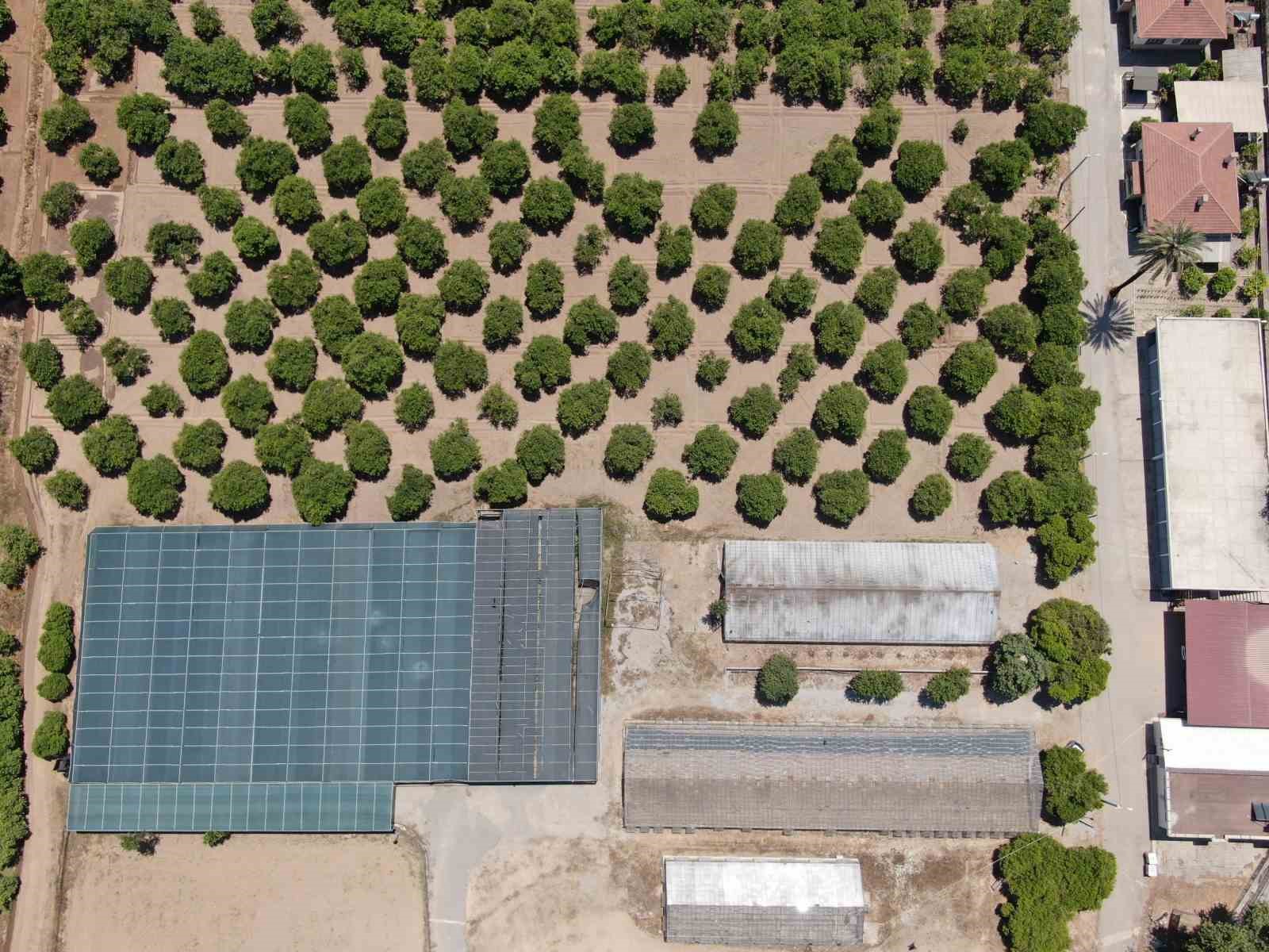 Türkiye son 20 yılda, Antalya’dan büyük tarım alanını kaybetti
Türkiye son 20 yılda, Antalya’dan büyük tarım alanını kaybetti