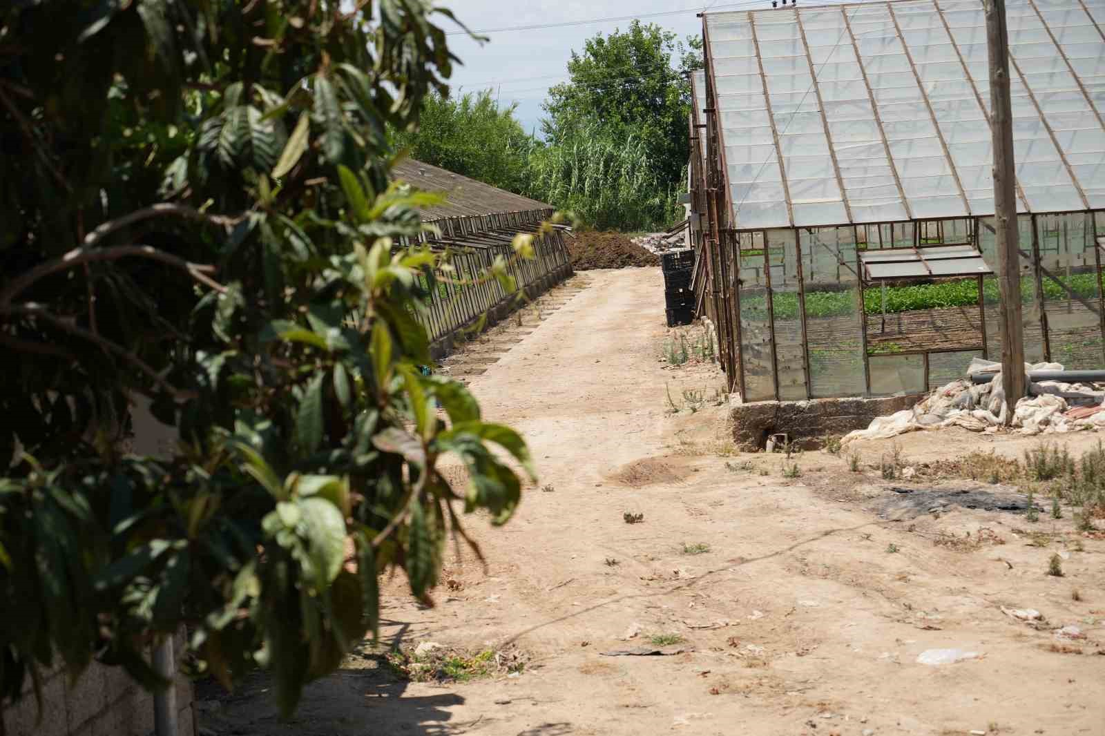 Türkiye son 20 yılda, Antalya’dan büyük tarım alanını kaybetti
Türkiye son 20 yılda, Antalya’dan büyük tarım alanını kaybetti
