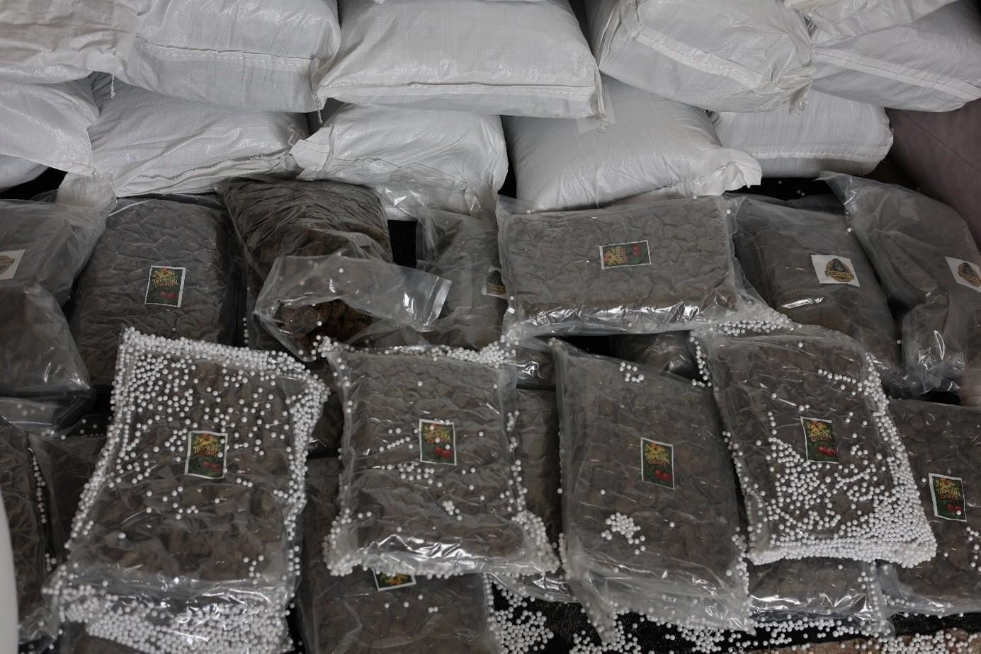 Türkiye ve Suriye’den ortak uyuşturucu operasyonu
