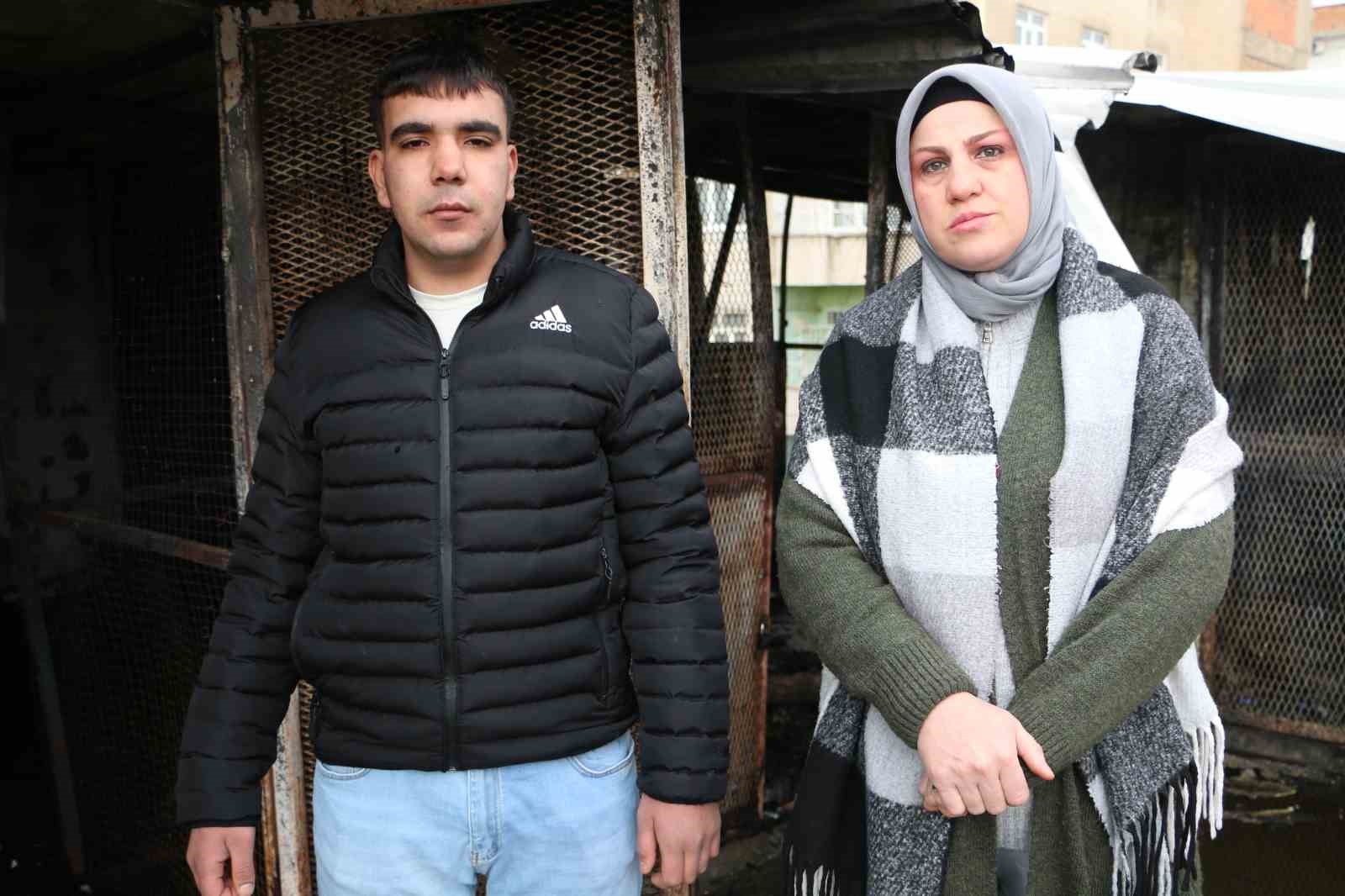 Türkiye’de bir ilkti: Diyarbakır’daki güvercin otelinde çıkan yangında 100’den fazla kuş telef oldu
